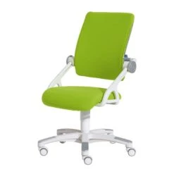 Paidi Yvo Schreibtischstuhl Limette Ergonomie & Design - Zum Aktionspreis